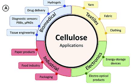 Cellulose: Properties, Structure, Applications and Sample Questions