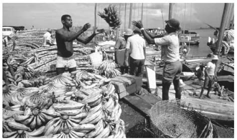 Culture of Brazil - history, people, traditions, women, beliefs, food ...