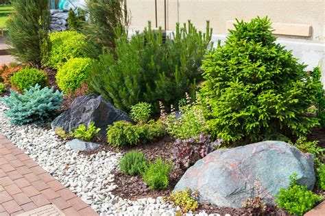 Drought Tolerant Landscaping | Learn More