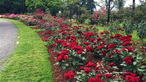 Oregon’s Lushest Gardens - Travel Oregon