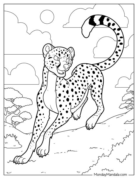 20 Cheetah Coloring Pages (Free PDF Printables)