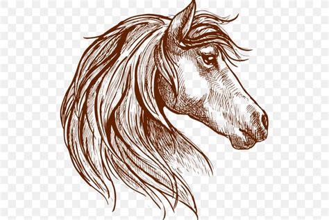 Horse Vector Graphics Drawing Mare Illustration, PNG, 519x550px, Horse, Artwork, Coloring Book ...