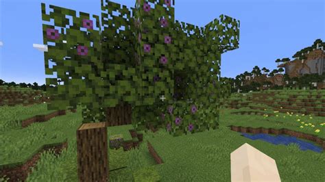 How to get Azalea Trees in Minecraft | Gamepur