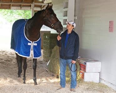 Haikal - Horse Profile - BloodHorse