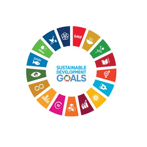 Agenda 2030 e SDGs (Sustainable Development Goals): gli obiettivi ...