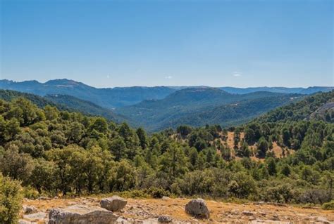 Advanced course: Mediterranean forest health in the context of global change - MedForest