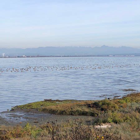 Boundary Bay Regional Park (Delta) - All You Need to Know BEFORE You Go - Updated 2020 (Delta ...