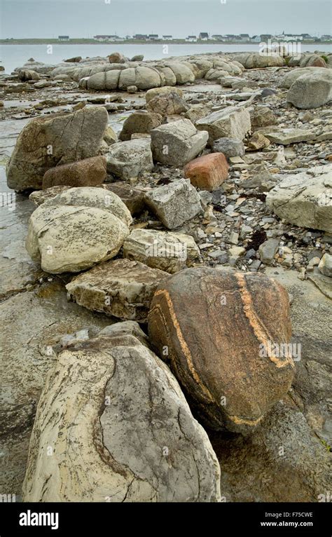 Cyanobacteria Fossil High Resolution Stock Photography and Images - Alamy