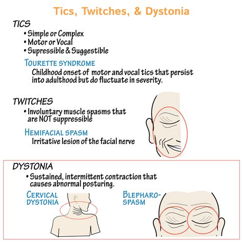 Neuroanatomy Glossary: Dystonia: Cervical Dystonia & Blepharospasm | ditki medical & biological ...