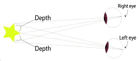 Stereoscopic vision: The perception of depth and three-dimensional... | Download High-Resolution ...