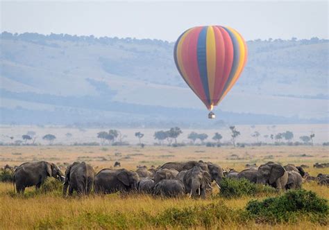 A hot air balloon ride in Masai Mara – what to expect | Air balloon ...