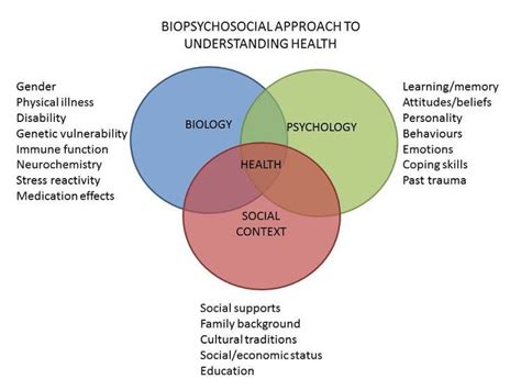 Biopsychosocial Model of Health. | Health psychology, Social work theories, Psychology