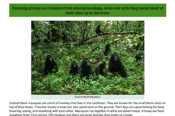 Animal Teamwork Examples from the Rainforest Distance Learning PDF