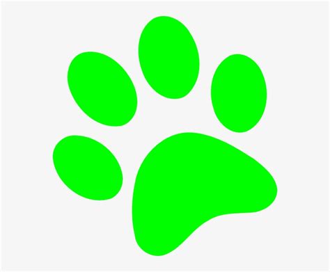 Green Paw Print Background