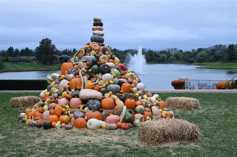 Experiencing Fall at Chicago Botanic Garden - Floradise