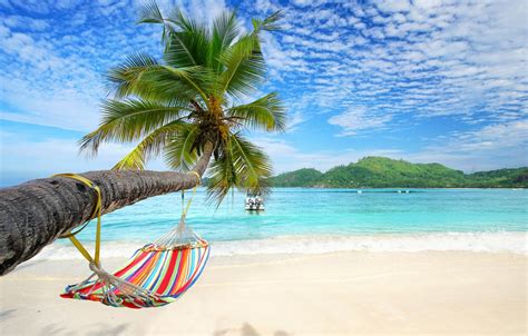 🔥 [20+] Summer Beach Hammock Wallpapers | WallpaperSafari