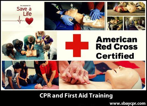 CPR & First Aid Training Basic First Aid, Emergency Responder ...