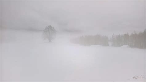 Free stock photo of landscape, mist, misty