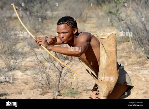 Naro San Bushman hunting in the bush with traditional bow and arrow, Kalahari, Ghanzi region ...