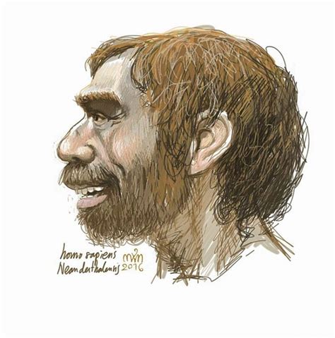 Pin on Neanderthalensis