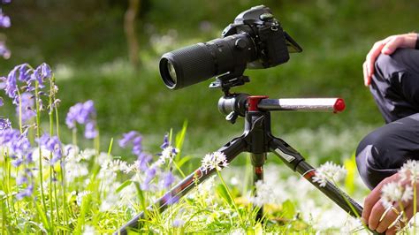 Best Tripods for Macro Photography [2024 updated] Camerakool