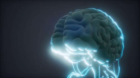 animated model of human brain Motion Background 00:10 SBV-346406768 - Storyblocks