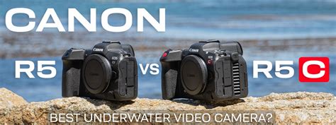 Info - Canon R5 vs Canon R5C Underwater Review - The best underwater video camera? | ScubaBoard