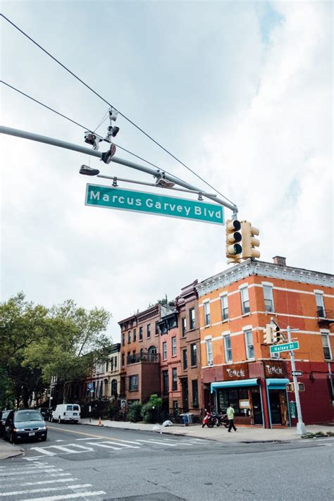 Neighborhood Spotlight: 6 Places You Must Visit In Harlem – Blog