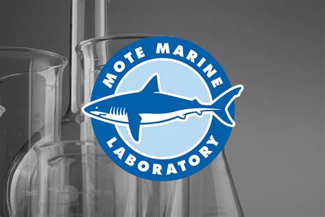 MOTE Marine Laboratory - DocuWrx Corporation