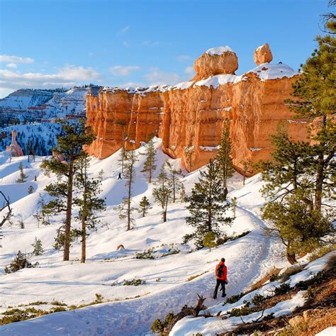 5 National Parks You Must Visit During Winter | TravelAwaits