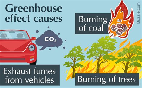 The Greenhouse Effect Easily Understood With a Diagram - Help Save Nature