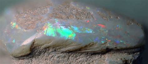 File:Opalized Cyrenopsis fossil bivalve (Bulldog Shale, Lower Cretaceous; Coober Pedy Opal Field ...