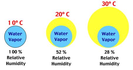 Matt's Weather Spot: Decoding Dew Point and Relative Humidity