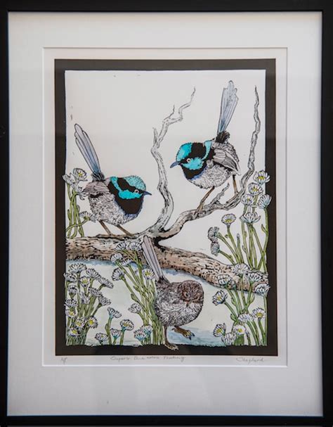 Superb Blue Wrens Feeding | Eagles Nest Fine Art Gallery