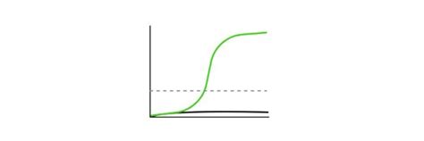 Enzyme Kinetics: Function, Definition, and Examples