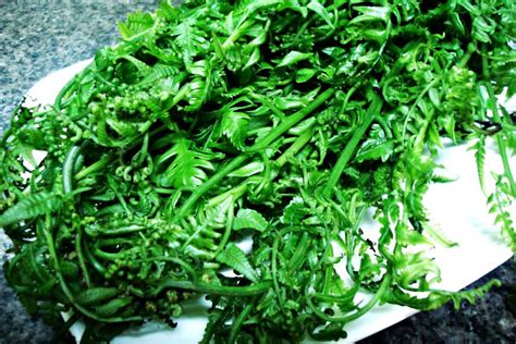 my tablescapes: Ensaladang Pako (fiddlehead fern salad)