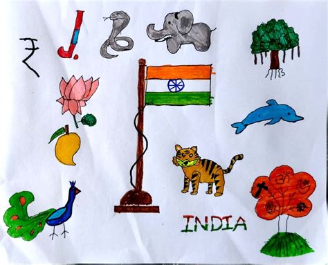 National symbols of India - kids activity | National symbols, Symbol drawing, Easy drawings