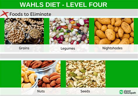 Wahls Protocol For MS And Autoimmune Diseases - Planet Naturopath