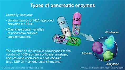 Can Pancreatic Enzymes Help Patients with Pancreatic Cancer?