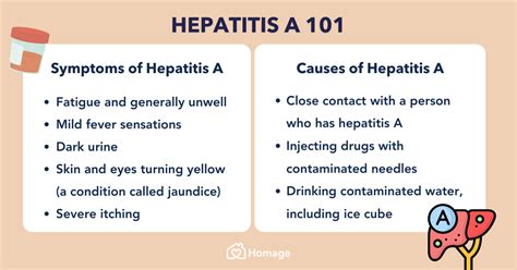 Hepatitis Causes