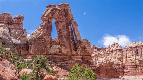 Canyonlands National Park - Needles District