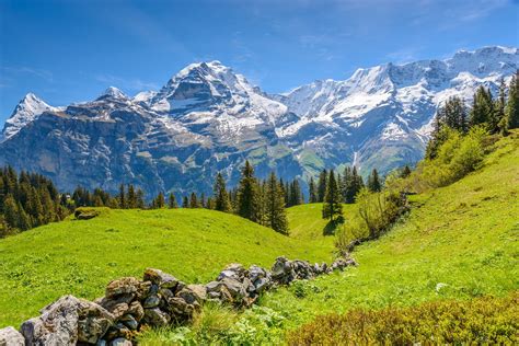 Senderismo en los Alpes suizos. Oberland Bernés - Muntania, Agencia de ...