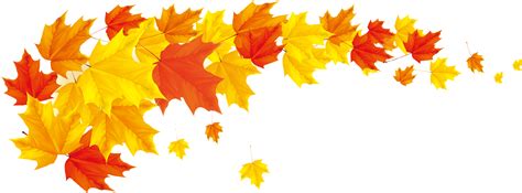 Transparent Fall Leaves Clipart png download - 994*985 - Free ...