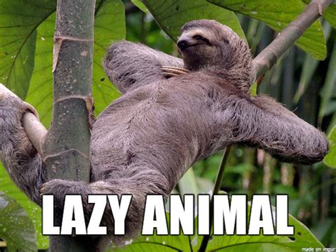 German: Lazy Animal