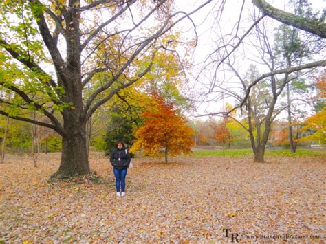 A Fall Foliage in Princeton University Campus - Travel Realizations