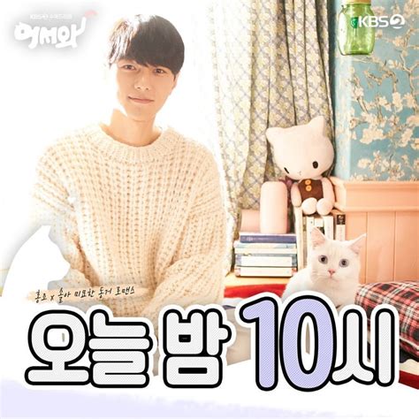 Meow, the Secret Boy Photos #1191555 - MyDramaList