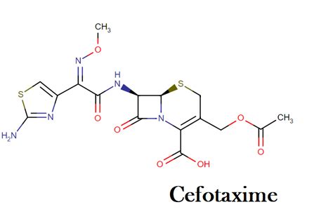 Cefotaxime : Drug class, mechanism of action, uses, dosage, side effects and interactions – Drug ...