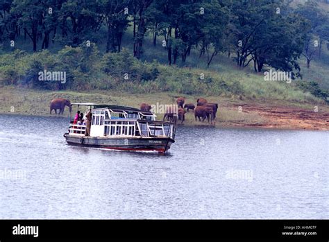 BOATING IN THEKKADY KERALA Stock Photo - Alamy