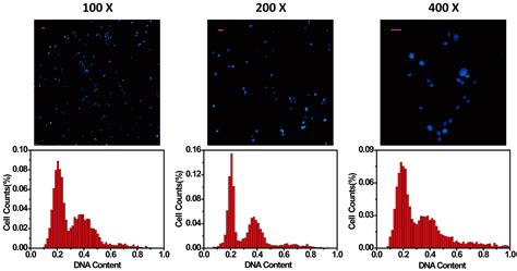 Micromachines | Free Full-Text | Microfluidic Cell Cycle Analysis of ...