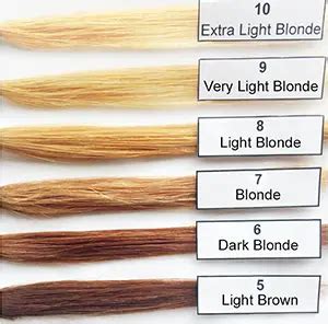 best of hair color levels 1 10 chart red and description brown hair ...